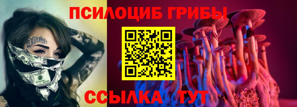 Псилоцибиновые грибы Cubensis  продажа наркотиков  Псилоцибиновые грибы ЛСД  Россия  Вход с VPN 