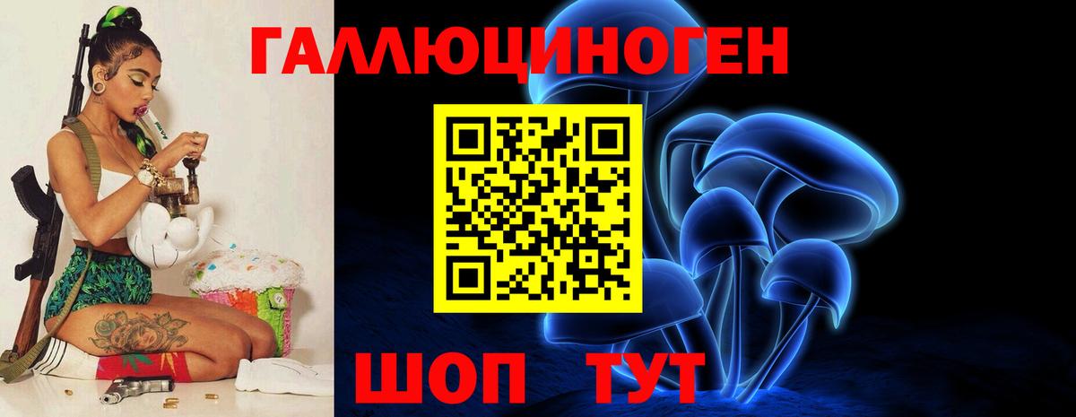 Псилоцибиновые грибы Psilocybe Россия